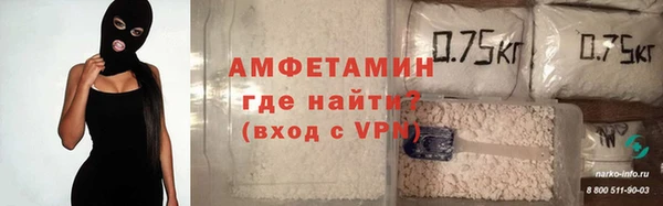 прущие грибы Белокуриха