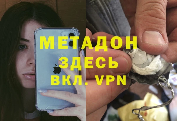 прущие грибы Белокуриха