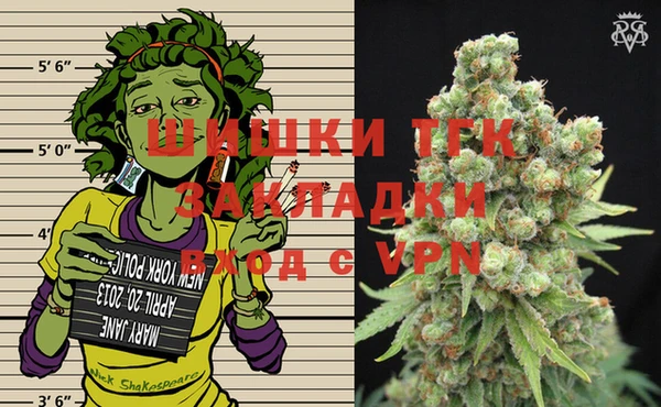 прущие грибы Белокуриха