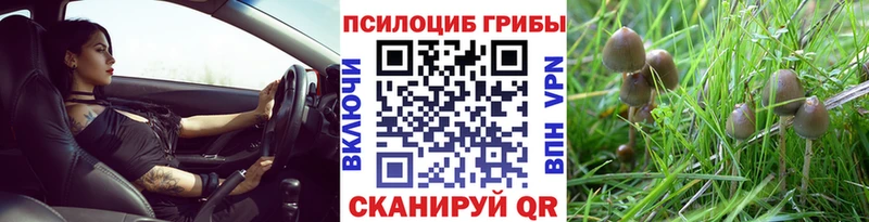Галлюциногенные грибы мицелий  где купить   Богучар 